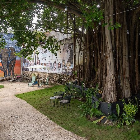 La Quinta Caribena Daire Playa del Carmen Dış mekan fotoğraf